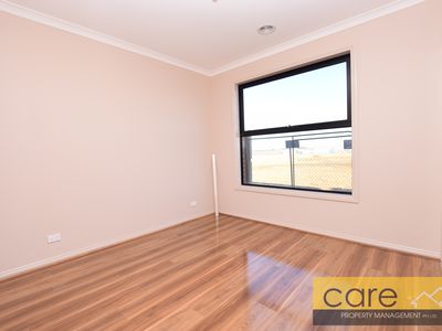 15 STATURE AVENUE, Clyde North