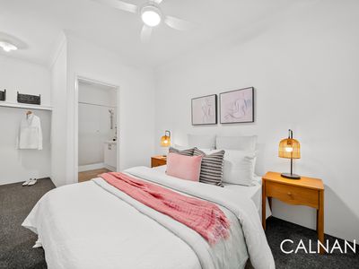 86 JUBILEE AVENUE, Success
