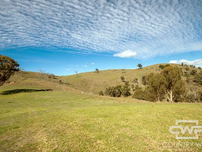 Lot 21 Halls Creek Road, Bendemeer