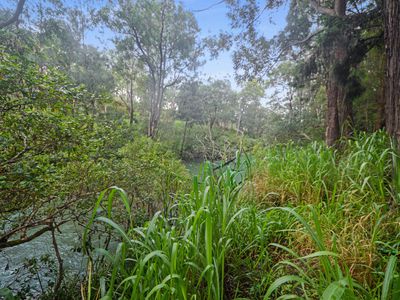 1888 TUMOULIN ROAD, Ravenshoe