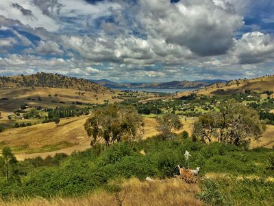 Lot 31 Bownds Lane, Bethanga