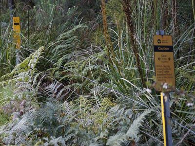 Lot 1 Kalonga Road, Nicholls Rivulet