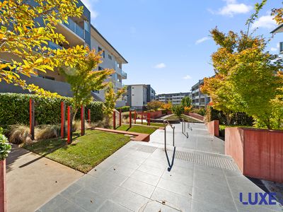 83 / 40 Philip Hodgins Street, Wright