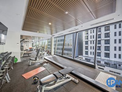 2101 / 117 Bathurst Street, Sydney