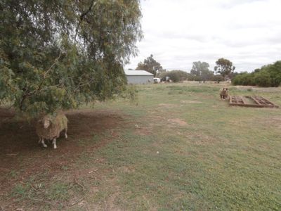 100 Sandhurst Street, Raywood