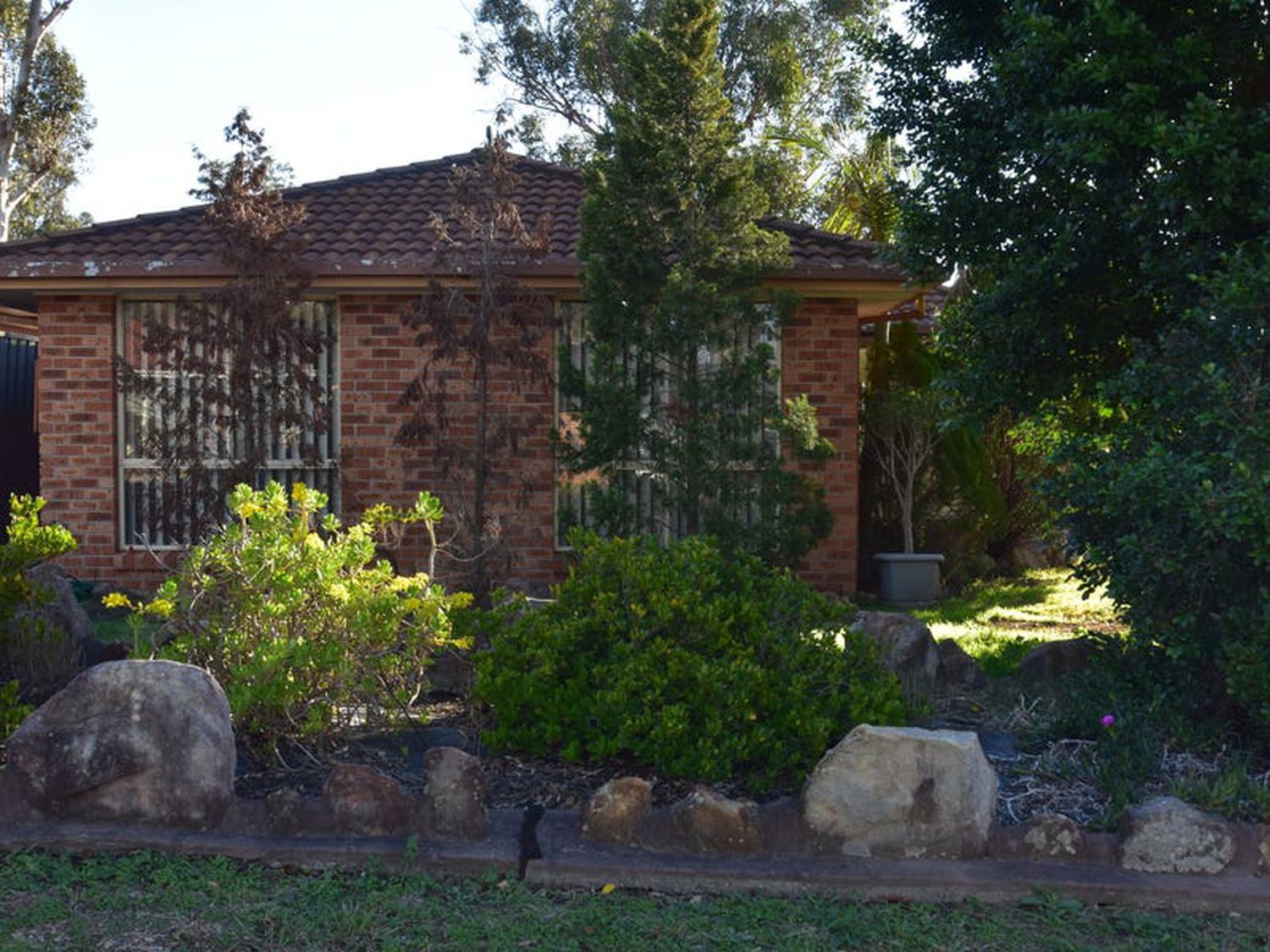 Hassall Grove