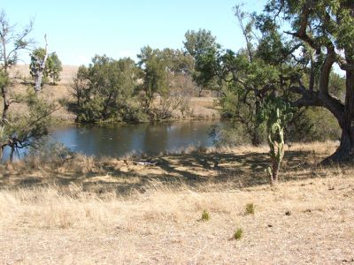 Pindari Dam Road, Ashford