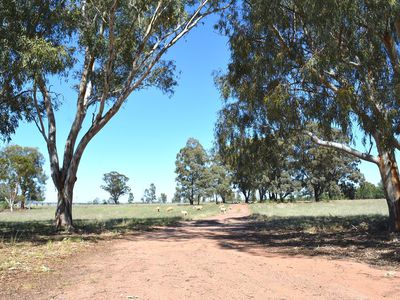 32R North Terramungamine Road, Brocklehurst
