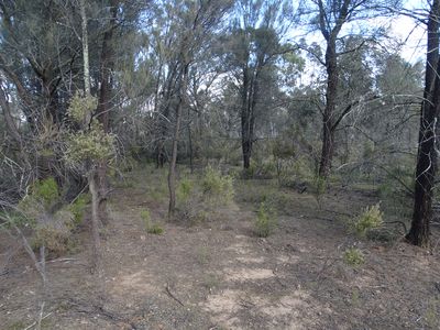 15 Moran Court, Graytown