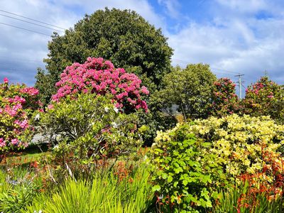 3448 Huon Highway, Franklin