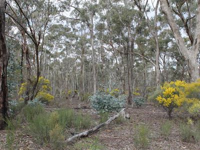 200 Skate Road, Gobarup