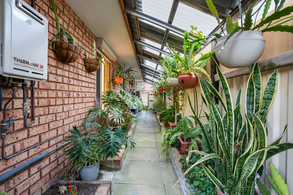 19 Conway Loop, Waikiki