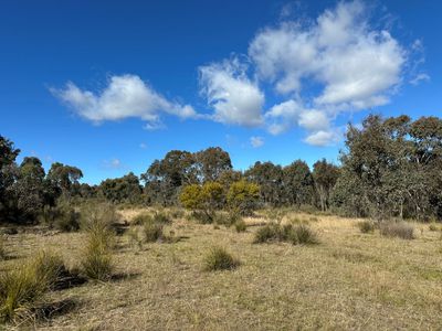454 Cainbil Road, Coolah