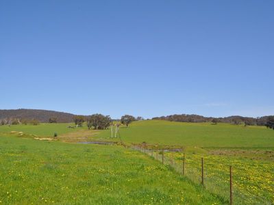 412 Vokins Creek Road, Little Billabong