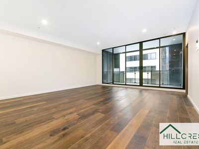 1503 / 209 Castlereagh Street, Sydney