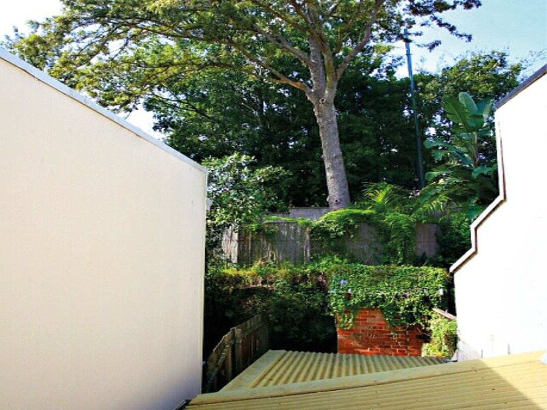 5 Great Thorne Street, Edgecliff