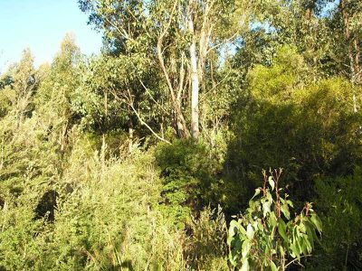 Lot 2, 7743 Huon Highway, Strathblane