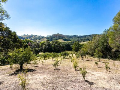 376 Middle Creek Road, Federal
