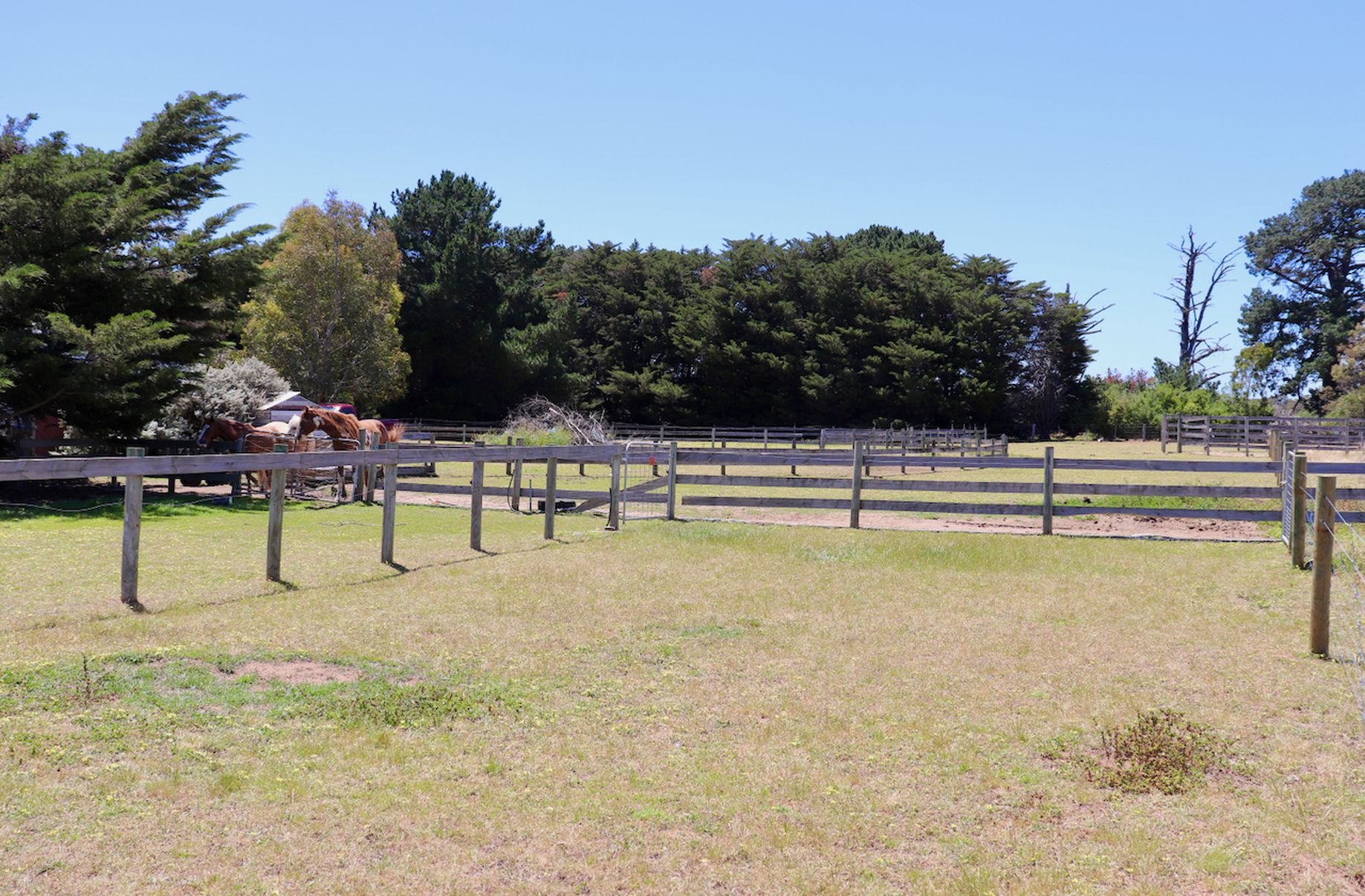 Lot 58 & 59, Jubilee Street, Inverleigh