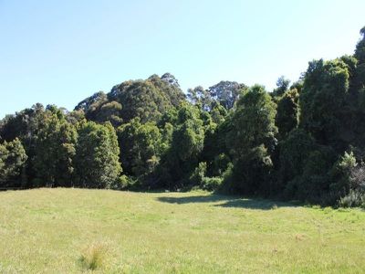 Lot 307 Lot 307 Carrington Road, Cambewarra