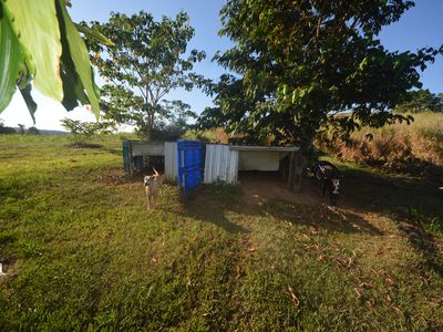 1212 Innisfail Japoon Road, Camp Creek