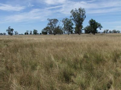 4096 Goolhi Road, Gunnedah