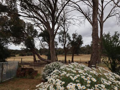 202 Back Kyneton Road, Heathcote