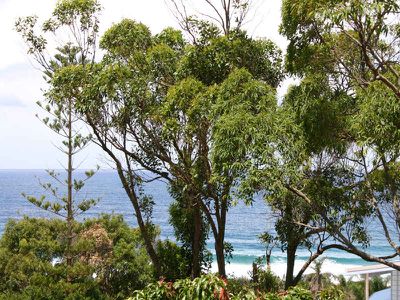 36 Becker Road, Forster