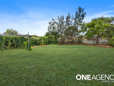 19 Japonica St, Inala