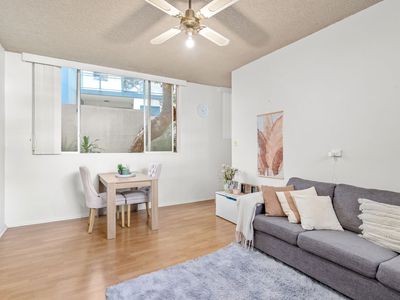 3 / 24 Little Street, Forster