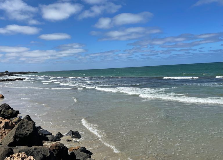 183 Dutton Way, Bolwarra