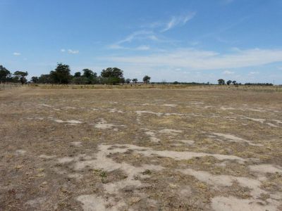 Tocumwal