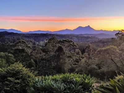 3911 Kyogle Road, Lillian Rock