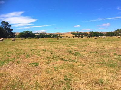 Lot 1, 530 Maroondah Highway, Merton