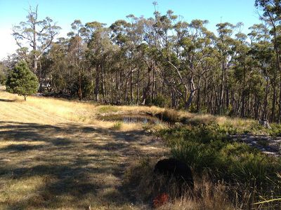 Lot 2, 49 Wills Road, Abels Bay