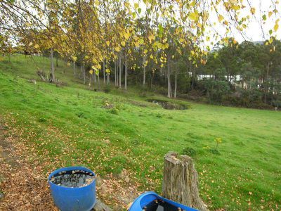 52 Duke Street, Geeveston