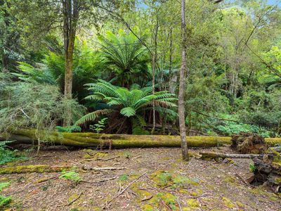 107 Wielangta Road, Kellevie