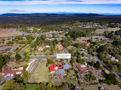 1 Pine Tree Avenue, Grindelwald