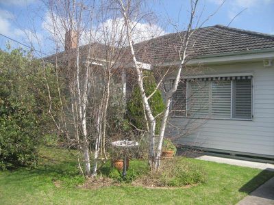 7 Norwood Street, Herne Hill