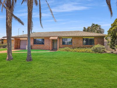 63 Sunbird , Parrearra