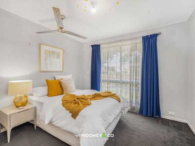 11 Glendoon Road, Junction Village