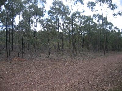 LOTS 1 & 2 RUSHWORTH-NAGAMBIE ROAD, Bailieston