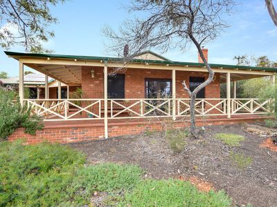 51 Killarney Street, Lamington