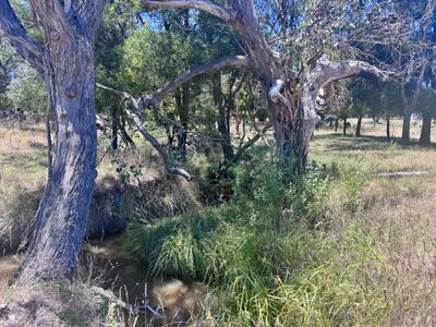 293 Merton-Strathbogie Road, Merton