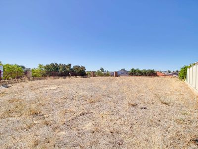 45 Baskerville Crescent, Baldivis