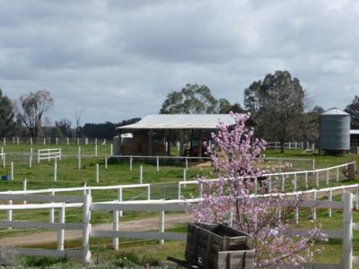 Cheesleys Road, Indigo Valley