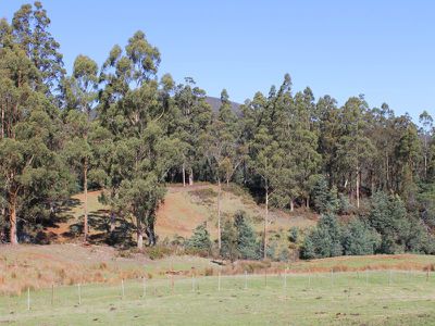 623 Woodbridge Hill Road, Gardners Bay