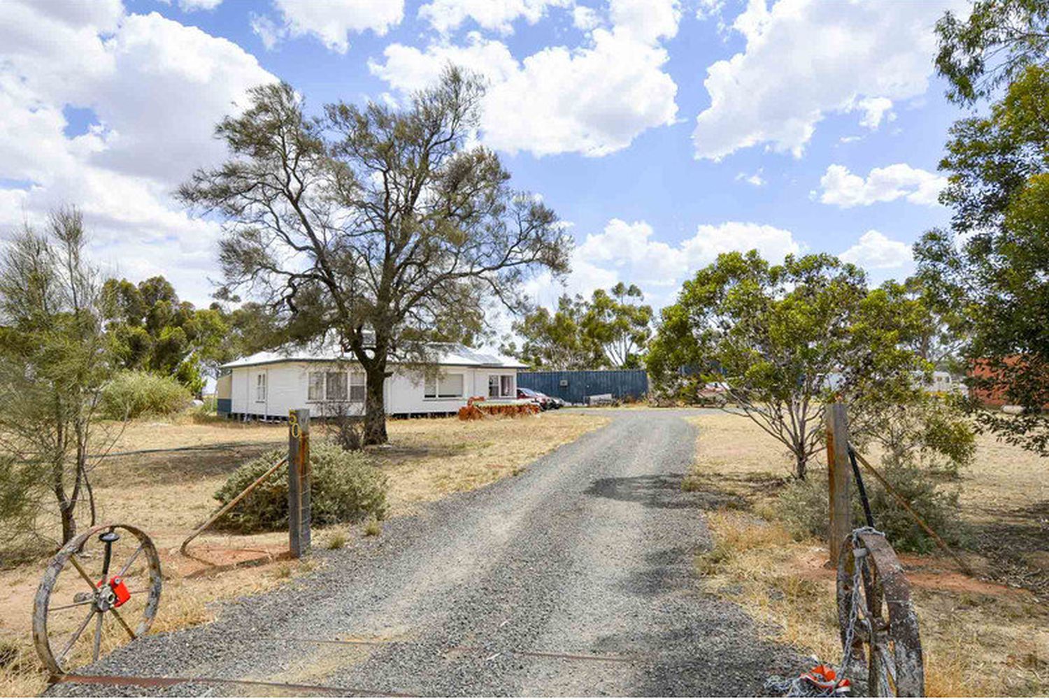 50 Miller Street, Pimpinio