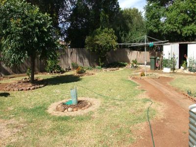 16 Ewing Street, Gunnedah