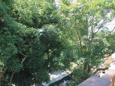 2 Firth Street, Arncliffe